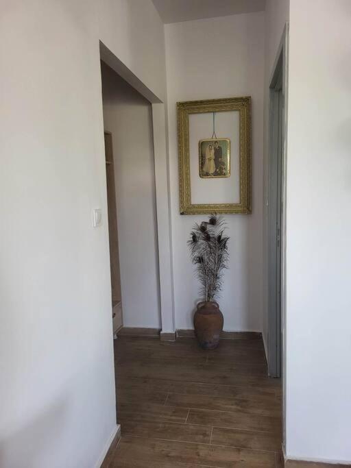 Greek Memories Boutique Studio Faliraki Zewnętrze zdjęcie